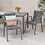 Outdoor Modern Aluminum Dining Chair with Rope Seat (Set of 2), Gray and Dark Gray 64679-00GRY