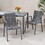 Outdoor Modern Aluminum Dining Chair with Rope Seat (Set of 2), Gray and Dark Gray 64679-00GRY