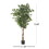 180cm Artificial Ficus Tree 70517-00