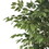 180cm Artificial Ficus Tree 70517-00