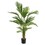 180cm Artificial Palm Tree 70525.00