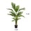 180cm Artificial Palm Tree 70525.00