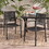 Outdoor Modern Aluminum Dining Chair with Rope Seat (Set of 2), Dark Gray and Black 70660-00BLK