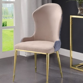 ACME Caolan Side Chair (Set-2), Tan, Lavender Fabric & Gold 72469