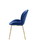 ACME Chuchip Side Chair (Set-2) in Blue Velvet & Gold 72947