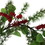5' Leaves/Berry Garland 73056-00RED