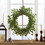 27" Oxalis Corniculata Wreath 73066-00