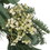 30IN Eucalyptus leaves, pine twigs, stars wreath 73078-00