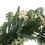 30IN Eucalyptus leaves, pine twigs, stars wreath 73078-00