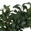 25IN Olive leaf with red fruit 73091-00