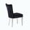 Eva 2 Piece Stainless Steel Legs Chair Finish with Velvet Fabric in Black 733569377848