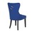 Erica 2 Piece Wood Legs Dinning Chair Finish with Velvet Fabric in Blue 808857565570