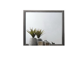 Galaxy Home Contemporary Hudson Made with Wood Mirror in Gray 808857660121