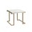 ACME Boice II End Table in Faux Marble & Champagne 82872