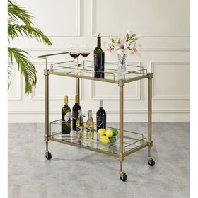 ACME Aditya Serving Cart, Mirror & Antique Brass Finish AC02597