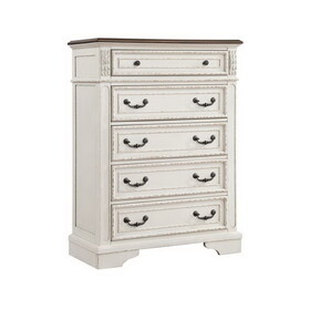 Noble Traditional Style 5-Drawer Chest Made with Wood in Antique White B009P168861