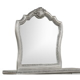 Destiny Traditional Style Mirror Made with Wood frame in Silver B009P234700