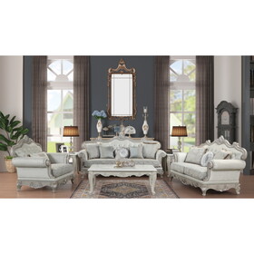 Tuscan Thick Velvet Fabric 2pc Traditional Living Room Set Made with Wood in Silver B009S01053