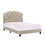 Full Upholstered Platform Bed with Adjustable Headboard 1pc Full Size Bed Gold Fabric B011120844