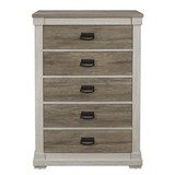 Transitional 1pc Chest with Storage Drawers Classic Shape Two-Tone Look Bedroom Furniture B01146483