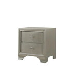 1pc Modern Glam Style Champagne Finish Two Drawer Nightstand Embossed Crocodile Pattern B01181032