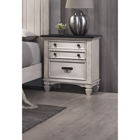 Beautiful Two-Tone Finish 1-pc Nightstand End Table Two Storage Drawers Bedroom Furniture B011P155308