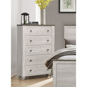 Transitional Rustic Style 1pc Storage Chest of 5 Drawers Two-Tone Antique White and Brown Classic Bedroom Furniture B011P212239