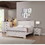 Farmhouse Rustic Style Antique White & Brown Queen Size Panel 1pc Bed Wooden Bedroom Furniture B011S00754