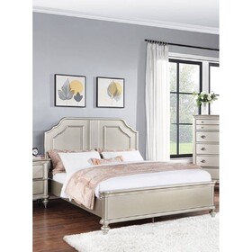 Traditional Style Queen Size Bed 1pc Two Panel Bed Silver Finish Bedroom Furniture B011S02129