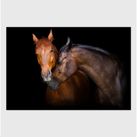 Oppidan Home "Horses Caressing" Acrylic Wall Art (32"H x 48"W) B03050795