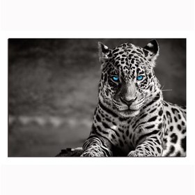 Oppidan Home "Spotted Leopard in Black and White" Acrylic Wall Art (32"H x 48"W) B03050803