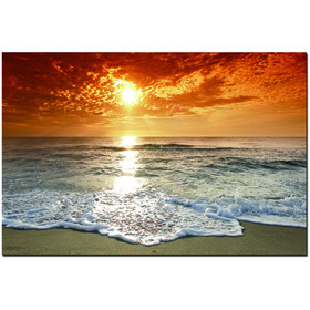 Oppidan Home "Coastal Sunset at the Beach" (32"H x 48"W) B03050817