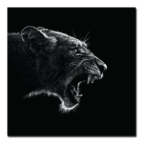 Oppidan Home "Roaring Lioness" Acrylic Wall Art (40"H x 40"W) B03050827
