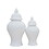 Elegant White Ceramic Ginger Jar with Decorative Design B030P154544