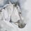 Derby Hand Embellished Horse Framed Canvas Wall Art B035129223