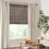 Bamboo Light Filtering Roman Shade 64"L B035129695