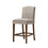 Camel Counter Stool B03548294