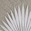 Sabal Framed Rice Paper Palm Leaves 3-piece Shadowbox Wall Decor Set B03598810