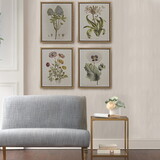 Herbal Botany 4-piece Botanical Illustration Framed Canvas Wall Art Set B03599414