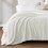 Microfleece Blanket Twin B035P294141