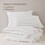 2PCS Twin/Twin XL Comforter Set B035P341082