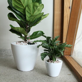 2-Pack Smart Self-watering Planter Pot for Indoor and Outdoor - White - Round Cone B046P144618