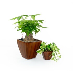 2-Pack Smart Self-watering Planter Pot for Indoor and Outdoor - Dark Wood - Square Cone B046P144622