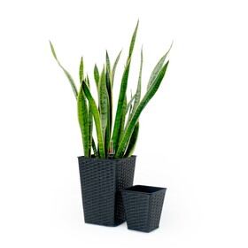 2-Pack Smart Self-watering Square Planter for Indoor and Outdoor - Hand Woven Wicker - Espresso B046P144627