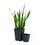 2-Pack Smart Self-watering Square Planter for Indoor and Outdoor - Hand Woven Wicker - Espresso B046P144629