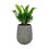 17.3" Self-watering Wicker Planter - Garden Decoration Pot - Gray - Round B046P144673