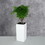 11" Composite Self-watering Square Planter Box - High - White B046P144678
