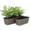 2-Pack Self-watering Planter - Hand Woven Wicker - Rectangular - Dark Gray B046P144690
