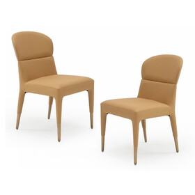 Modrest Ogden Modern Orange & Rosegold Dining Chair (Set of 2) B04961316