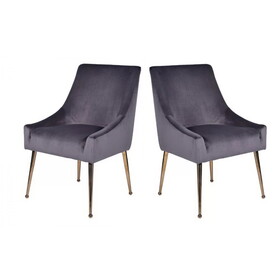 Modrest Castana Modern Grey Velvet & Gold Dining Chair (Set of 2) B04961406